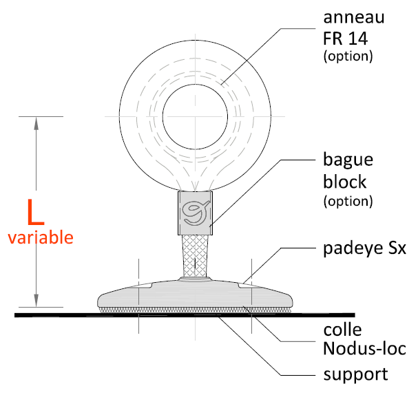 Nodus-Padeye SX® - NODUS FACTORY