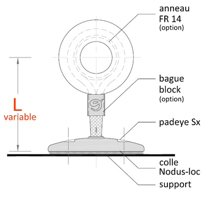 Nodus-Padeye SX® - NODUS FACTORY